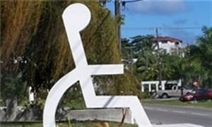 قانون حمایت از معلولان