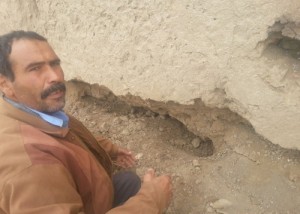 حمله موش‌ها به روستای نجف‌آباد فیروزه